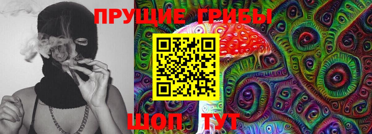 Кашира  Галлюциногенные грибы GOLDEN TEACHER  Галлюциногенные грибы мухоморы  Вход с VPN 